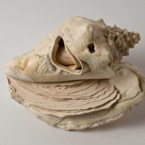 AS FOAM, Artist book-Sea shell and paper, 5.9x8.7x6.3 inches, 2011