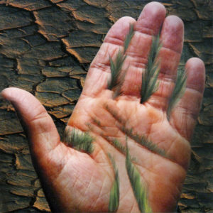 LA MANO DEL INMIGRANTE, Papel fotográfico y bordado, 30x30cm, 2009