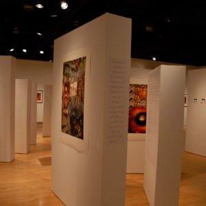 View of the exhibition