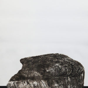 Aguafuerte-aguatinta, 101x59cm, 2012